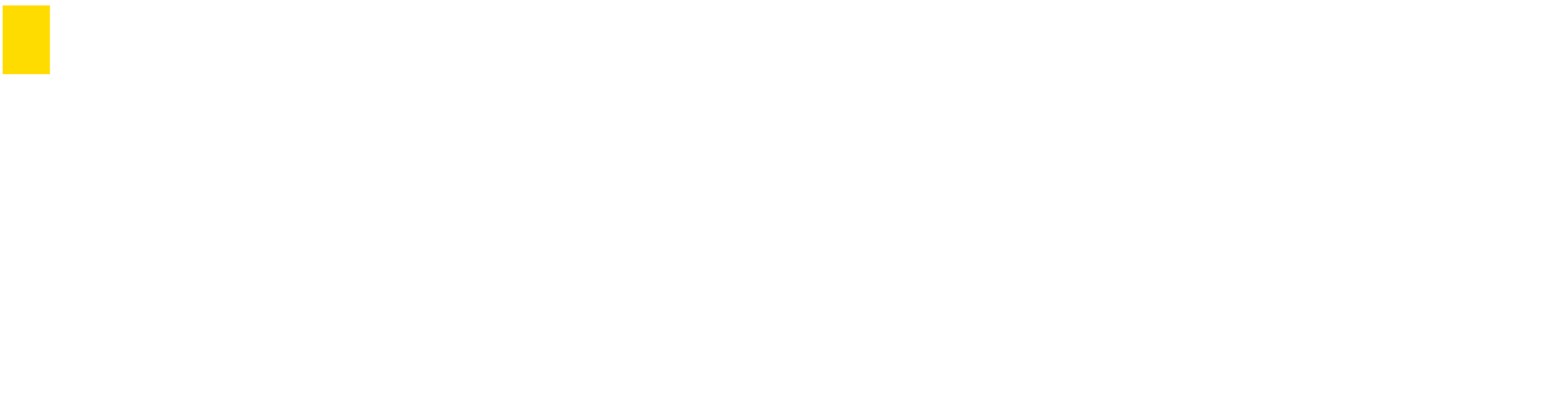 InfoGuard Logo